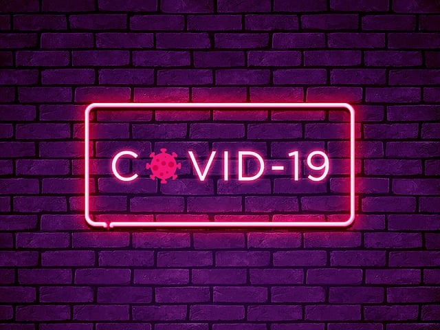 What are the issues and challenges during the COVID-19 pandemic?